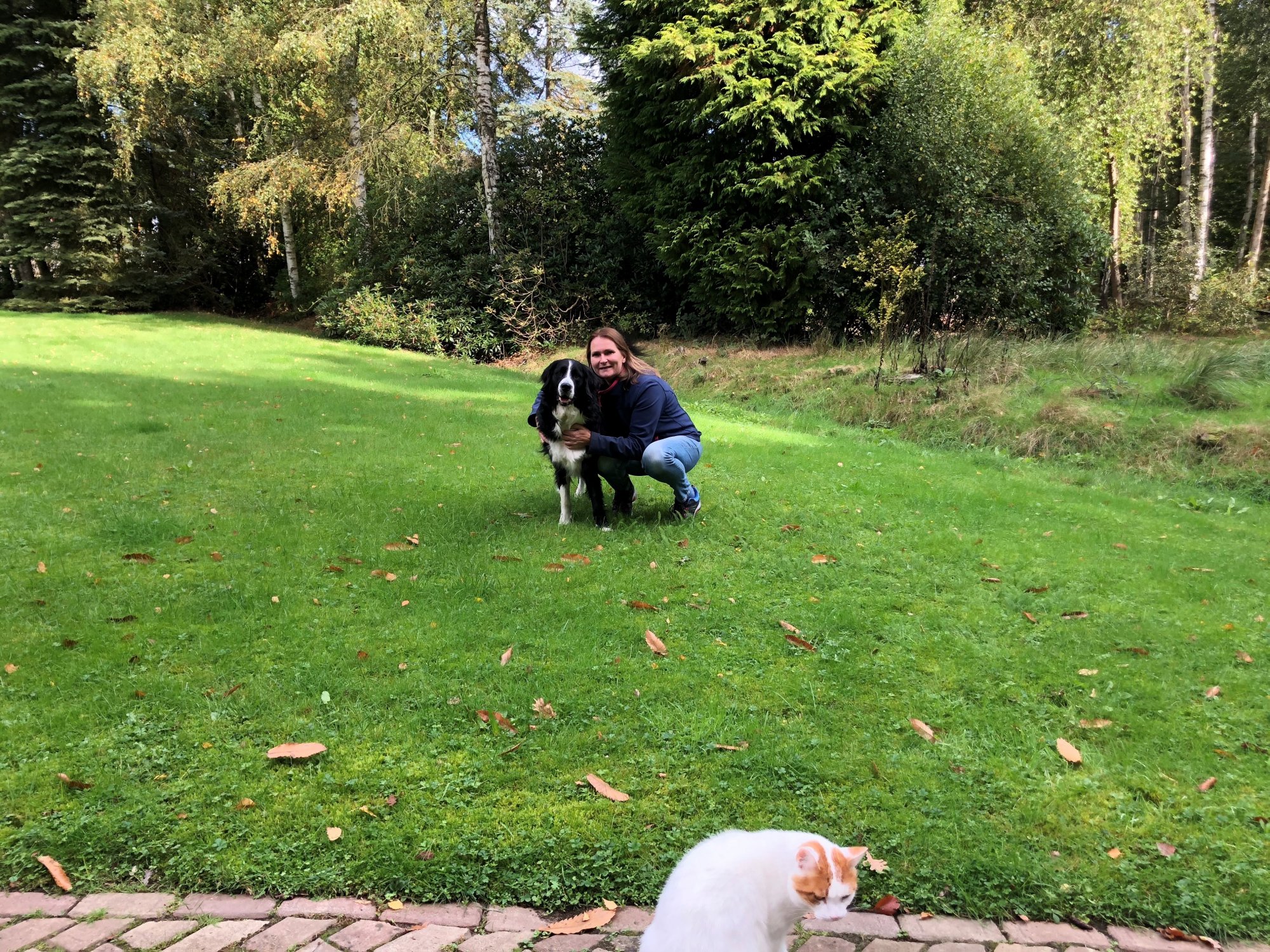 Claudia laat zieke hond Beer behandelen met chemo 'Niks doen was geen